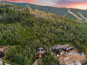 Aerial view at dusk of a view of trees