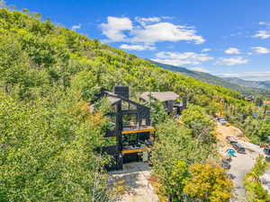 Aerial view of a heavily wooded area and a mountain backdrop