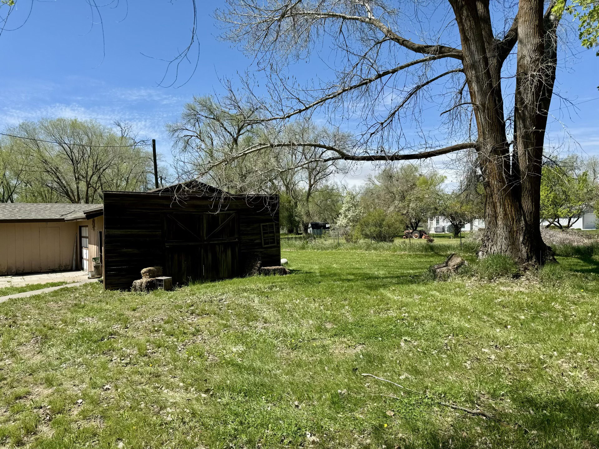 View of grassy yard