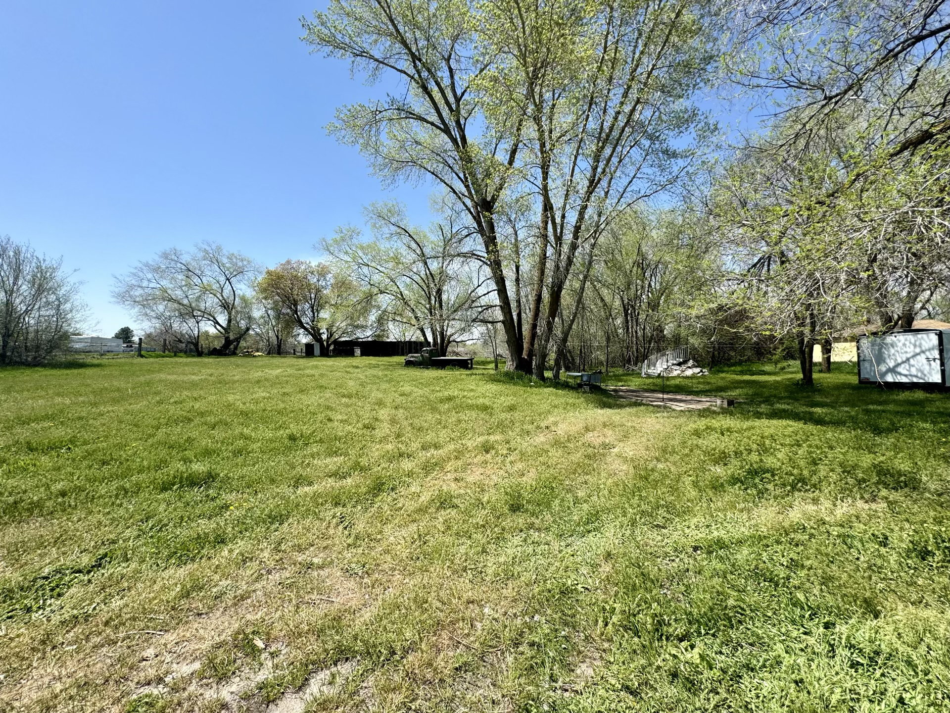 View of green lawn