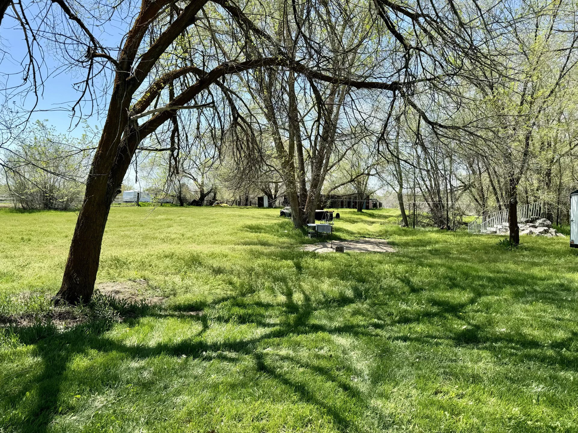 View of green lawn