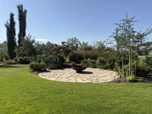 Pics taken in the summer