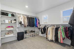 Spacious closet featuring carpet floors