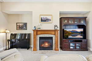 Living room featuring light carpet and a premium fireplace