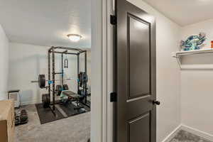 Basement bedroom with walk in closet