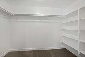 Spacious closet with dark colored carpet