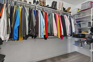 Spacious closet featuring carpet