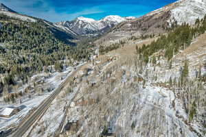 View of mountain background with a forest