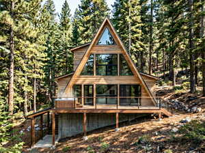 Potential rendering of cabin