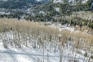 Mountain view featuring a heavily wooded area