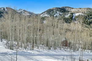 Mountain view with a forest