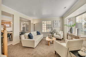 Living room featuring light colored carpet, ornamental molding, and a textured ceiling