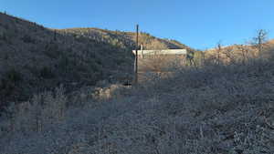 View of mountain backdrop with a heavily wooded area