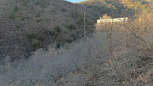 View of mountain background featuring a heavily wooded area