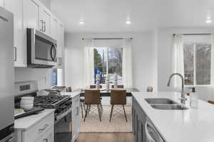 Kitchen with stainless steel appliances, light stone countertops, dark wood finished floors, recessed lighting, and white cabinetry