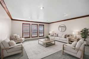Carpeted living area featuring ornamental molding