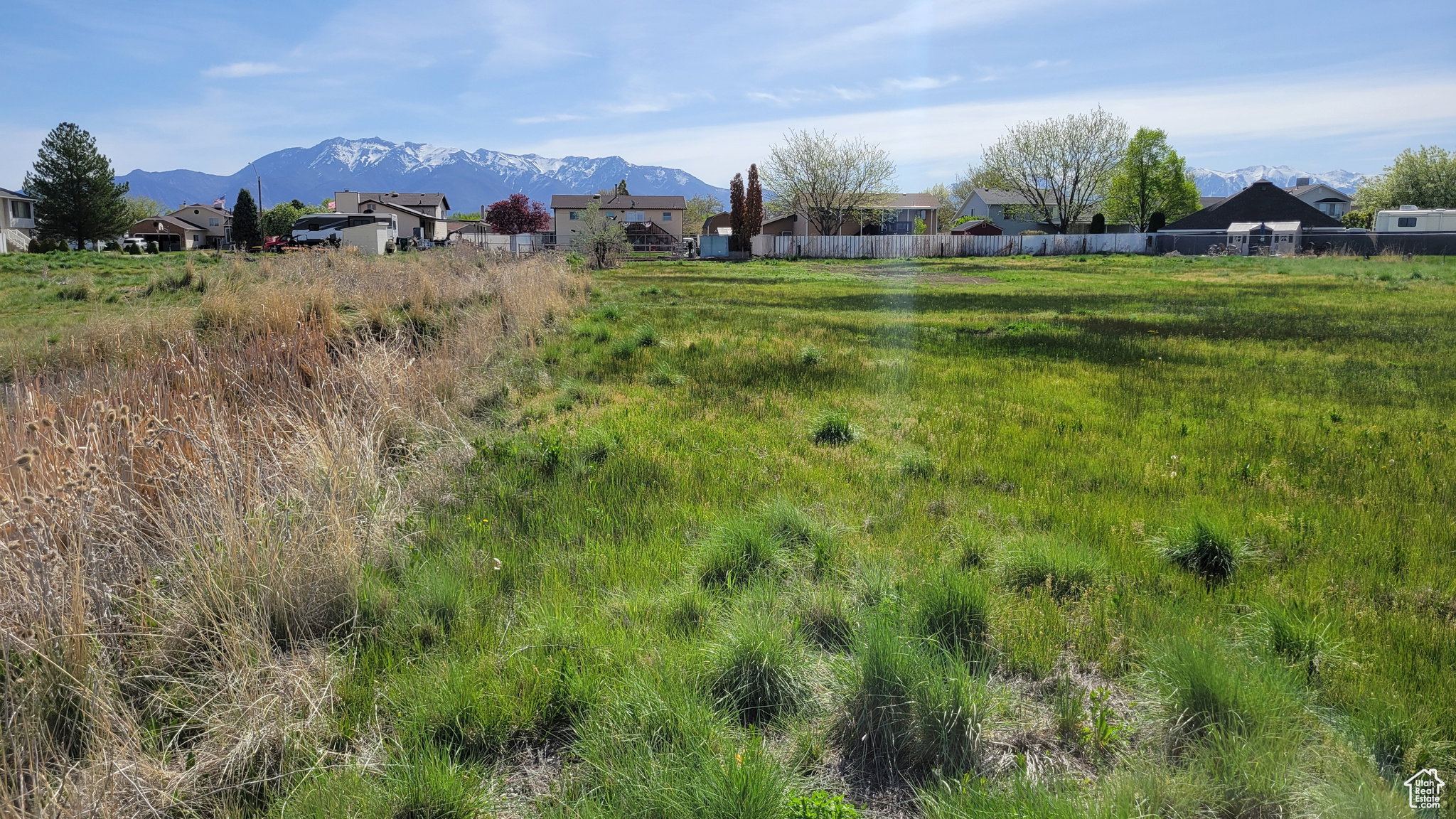 View of yard with a mountain view and a residential view