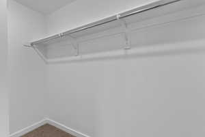 Walk in closet featuring carpet floors