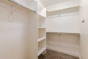 Spacious closet featuring dark colored carpet