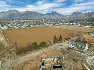 Aerial view of residential area with a mountainous background