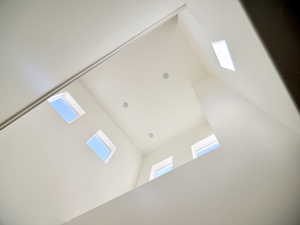 Detailed view of a skylight