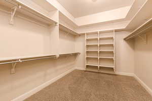 Walk in closet with light colored carpet