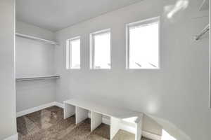 Spacious closet with light colored carpet