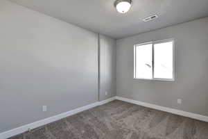 Unfurnished room with carpet flooring and a textured ceiling