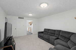 Living area with a textured ceiling and light carpet