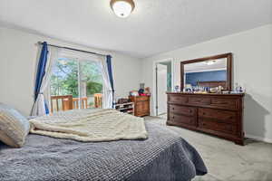 Bedroom with light carpet, access to outside, and a textured ceiling