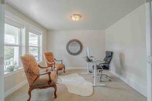 Office area with a textured ceiling and carpet