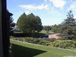 View of property's community featuring a lawn