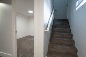 Stairs with carpet floors and baseboards