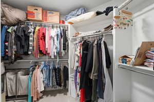 Spacious closet featuring light carpet