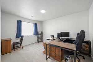 Office with light colored carpet and a textured ceiling