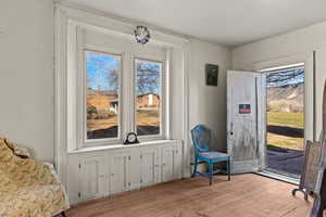 Entryway with hardwood / wood-style floors, a mountain view, and plenty of natural light