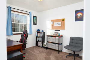 Bedroom used as a home office with carpet floors and baseboards.