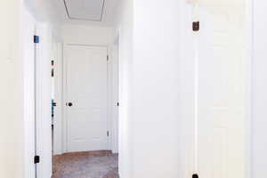 Hallway featuring carpet flooring, attic access, bathroom, and primary bedroom.