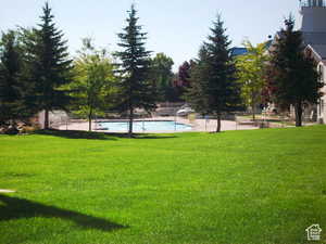 View of yard and pool @ Harbor Village