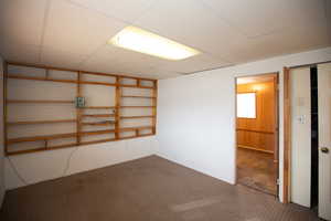 Lower level family room featuring carpet