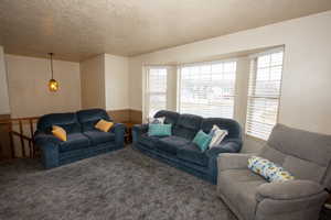 Family room featuring plenty of natural light, a textured ceiling, and carpet floors