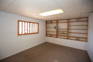 Lower level family room