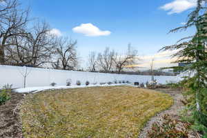 View of fenced backyard