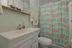 Full bathroom featuring vanity and a shower with curtain