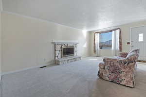 Living room featuring a fireplace, carpet floors, and a textured ceiling
