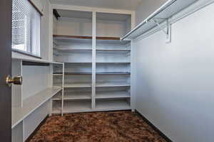 Walk in closet with dark carpet