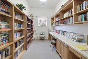 Office featuring light colored carpet and bookshelves