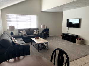 Carpeted living room featuring a textured ceiling and tile patterned flooring