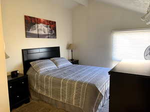 Bedroom featuring vaulted ceiling and carpet flooring