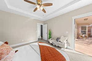 Living area with carpet floors, a raised ceiling, and ceiling fan